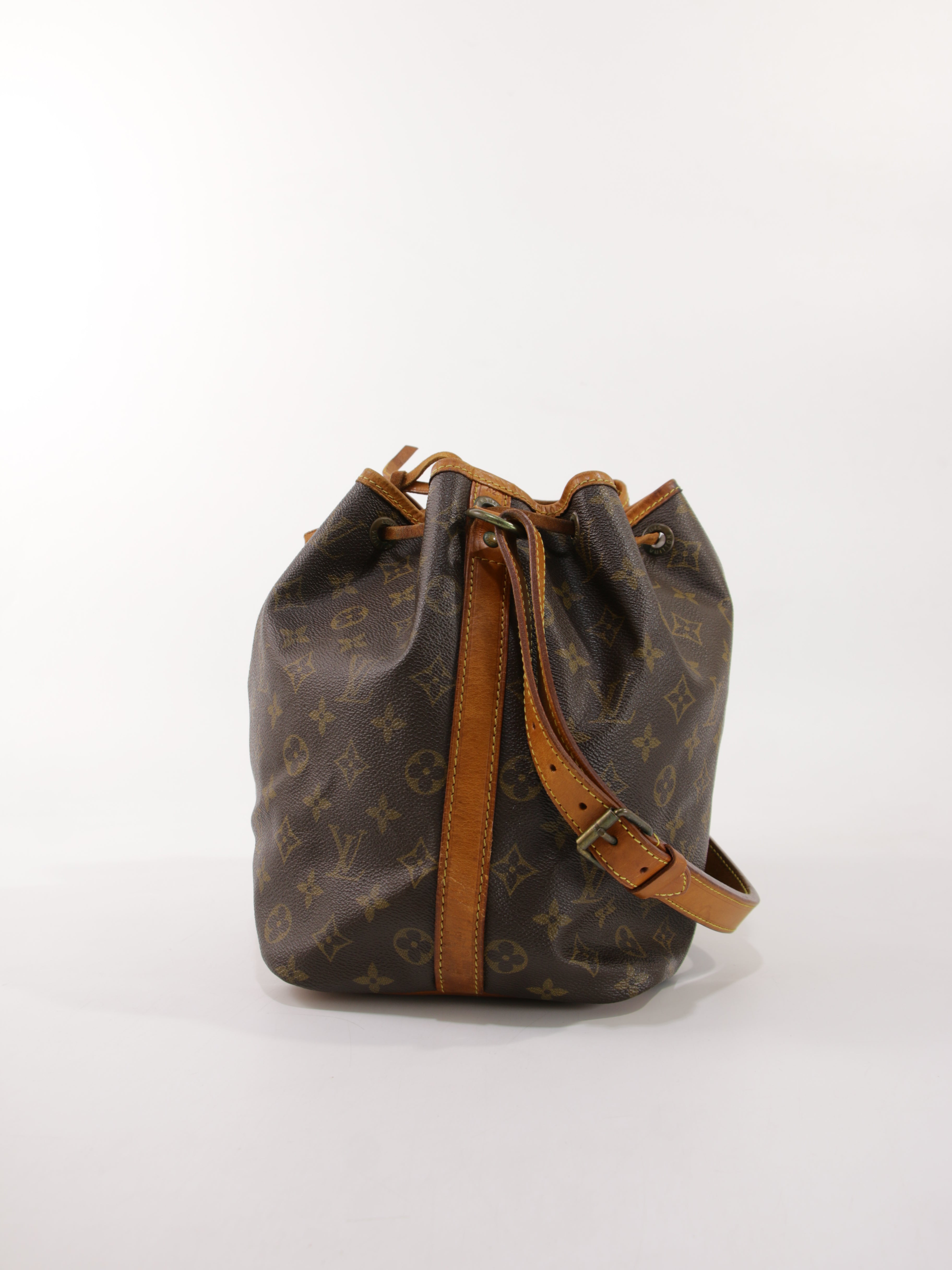 Petit Noé