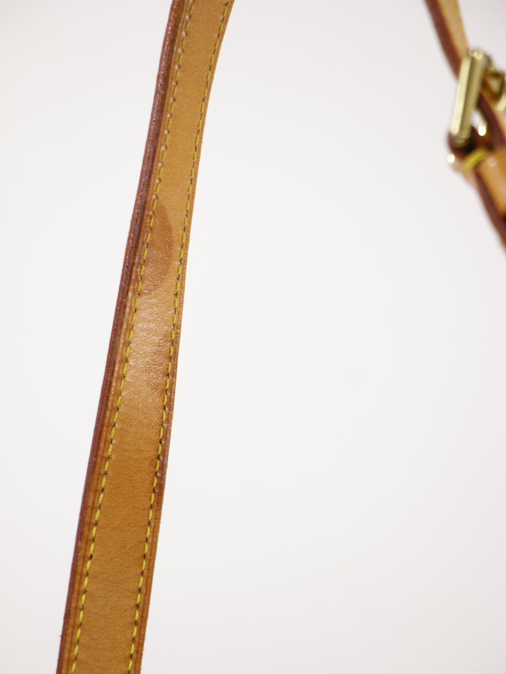 Musette Salsa