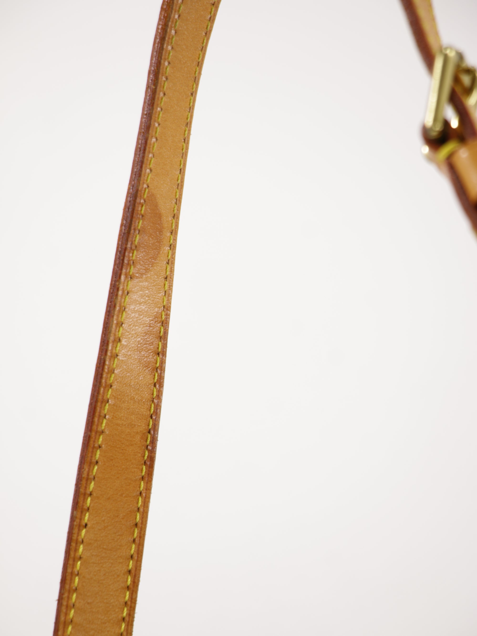 Musette Salsa