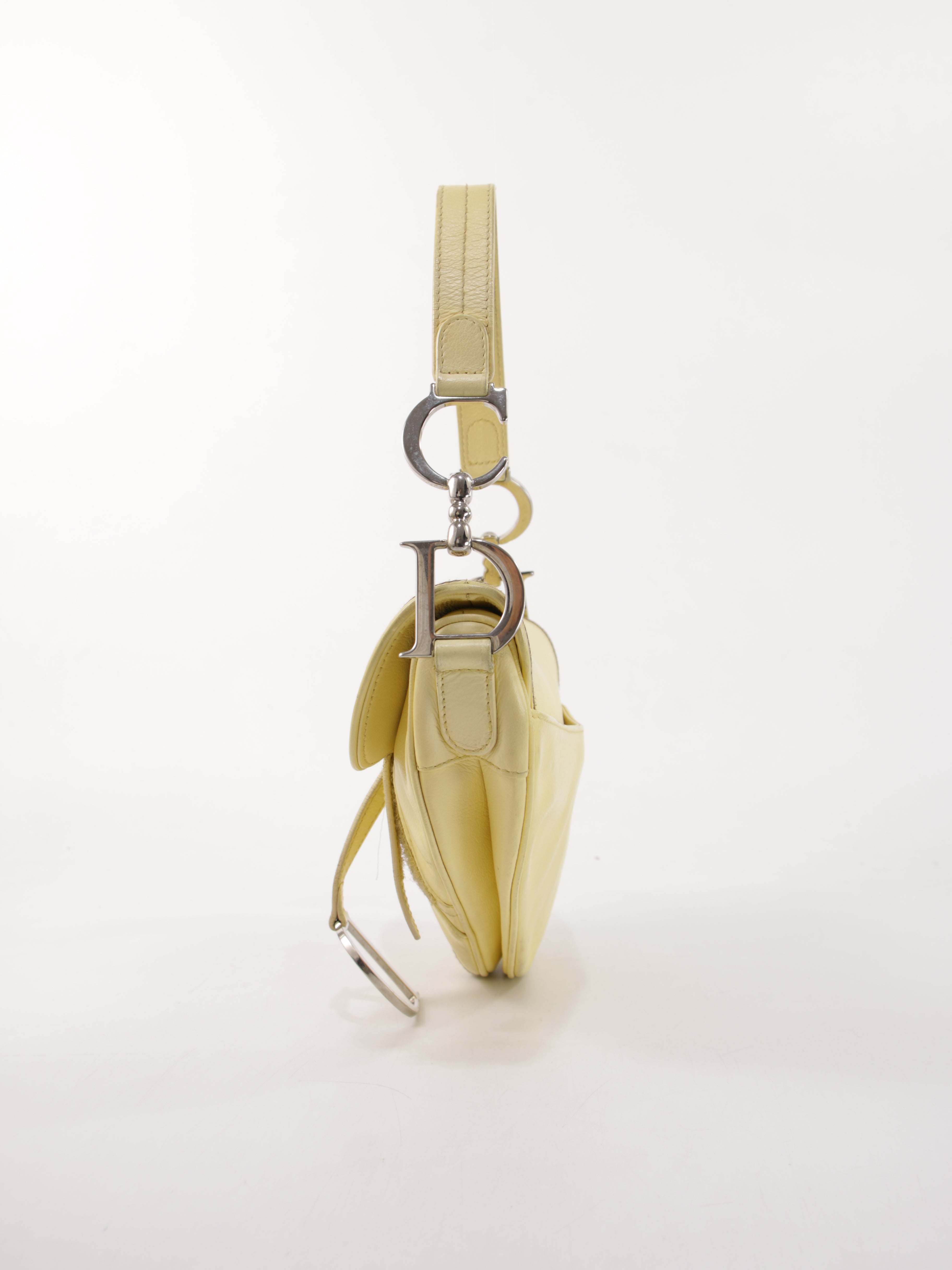 Christian Dior Saddle