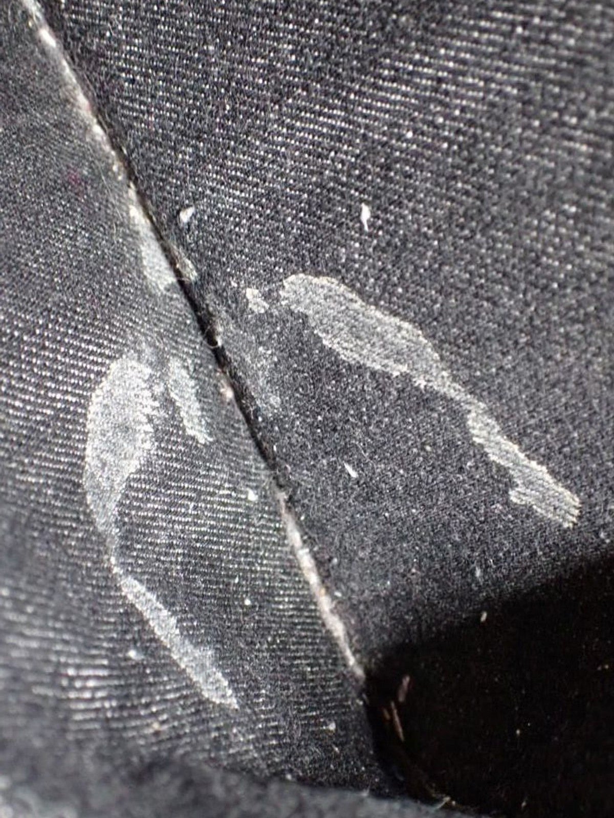 Medium Canapa