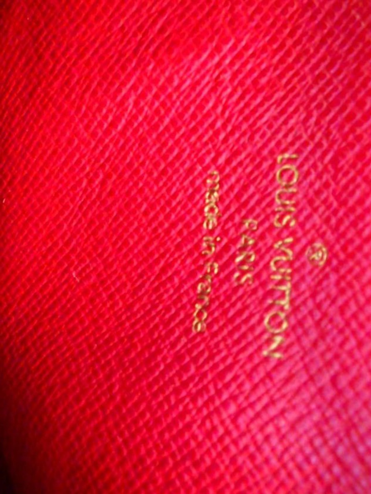 Papillon 30