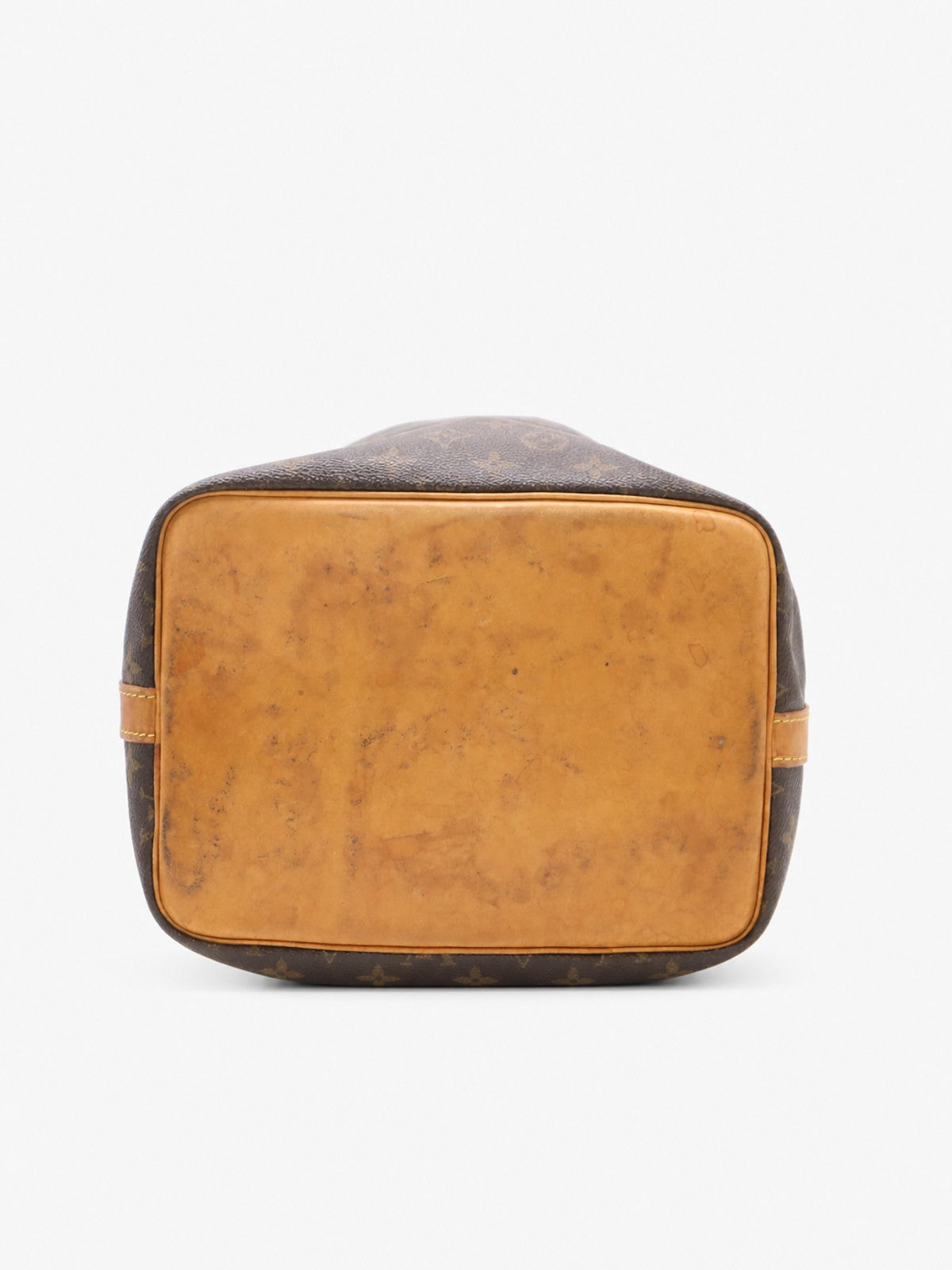 Petit Noé
