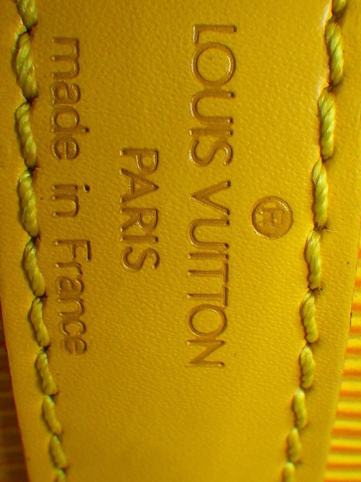 Petit Noé