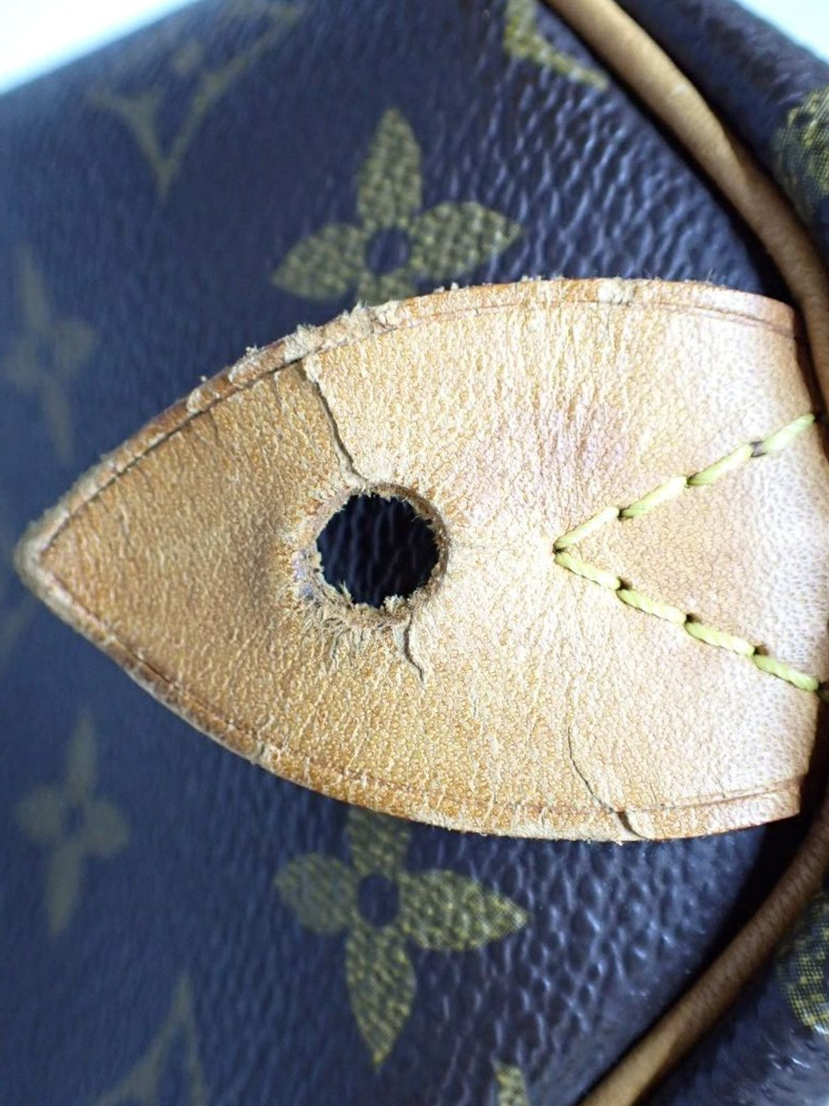 Louis Vuitton Speedy 25