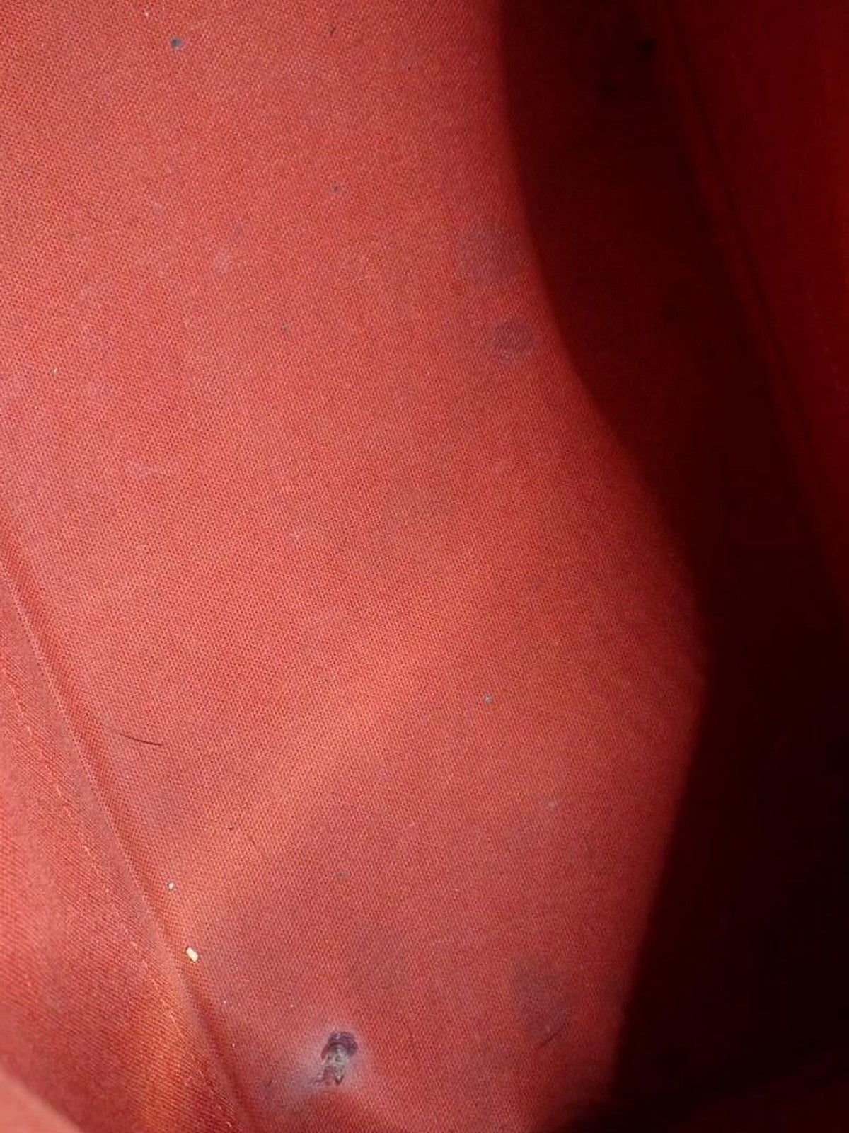 Louis Vuitton Alma PM