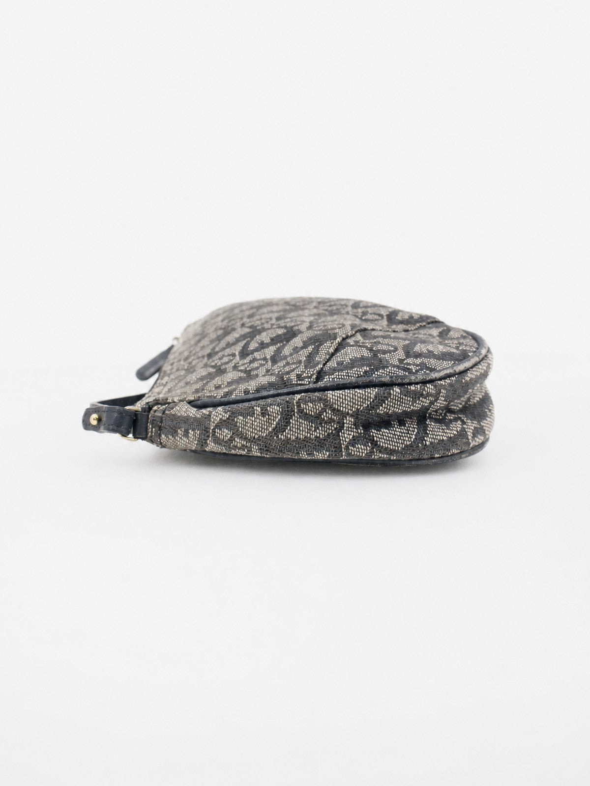 Christian Dior Saddle Pochette