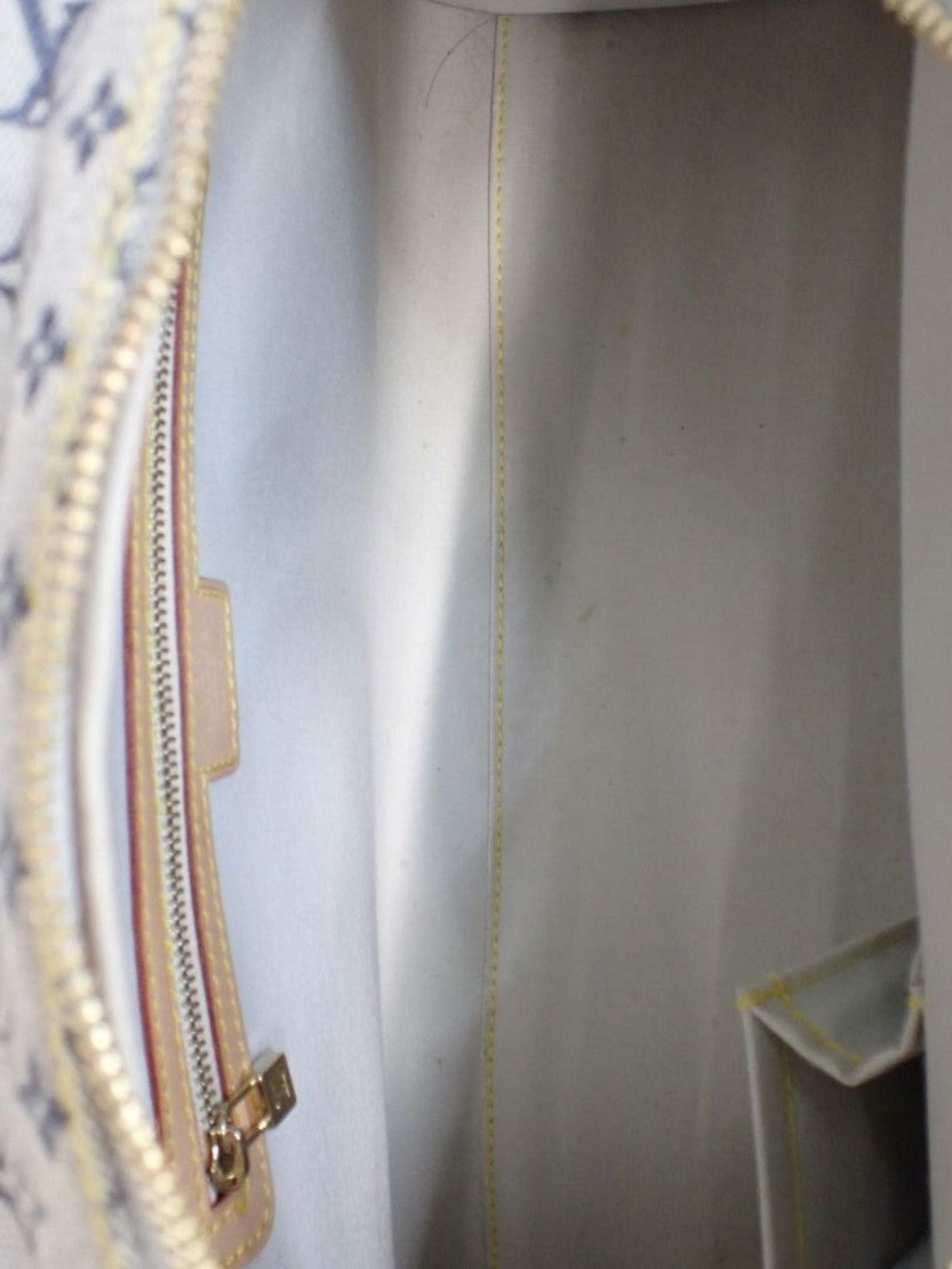 Louis Vuitton Hand Bag