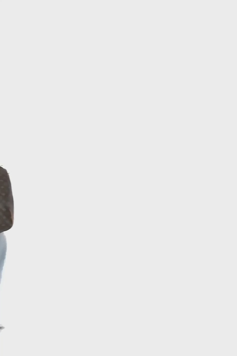 Louis Vuitton Keepall 60 Brown Canvas