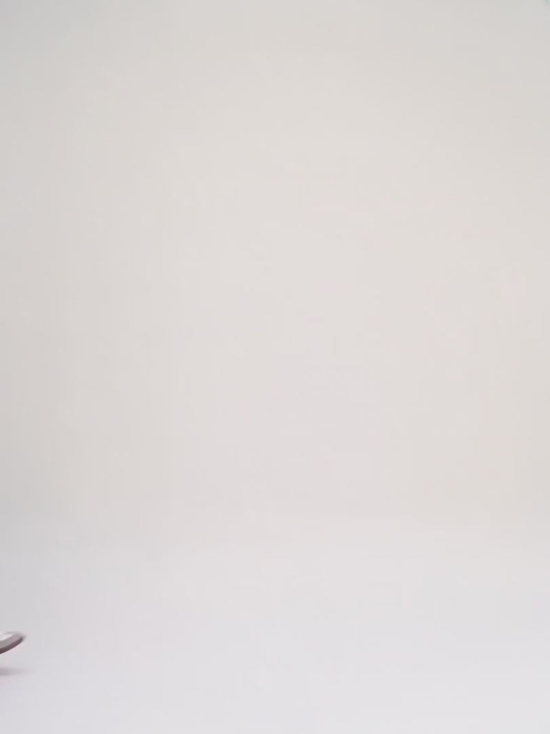 Gucci Princy Brown Canvas