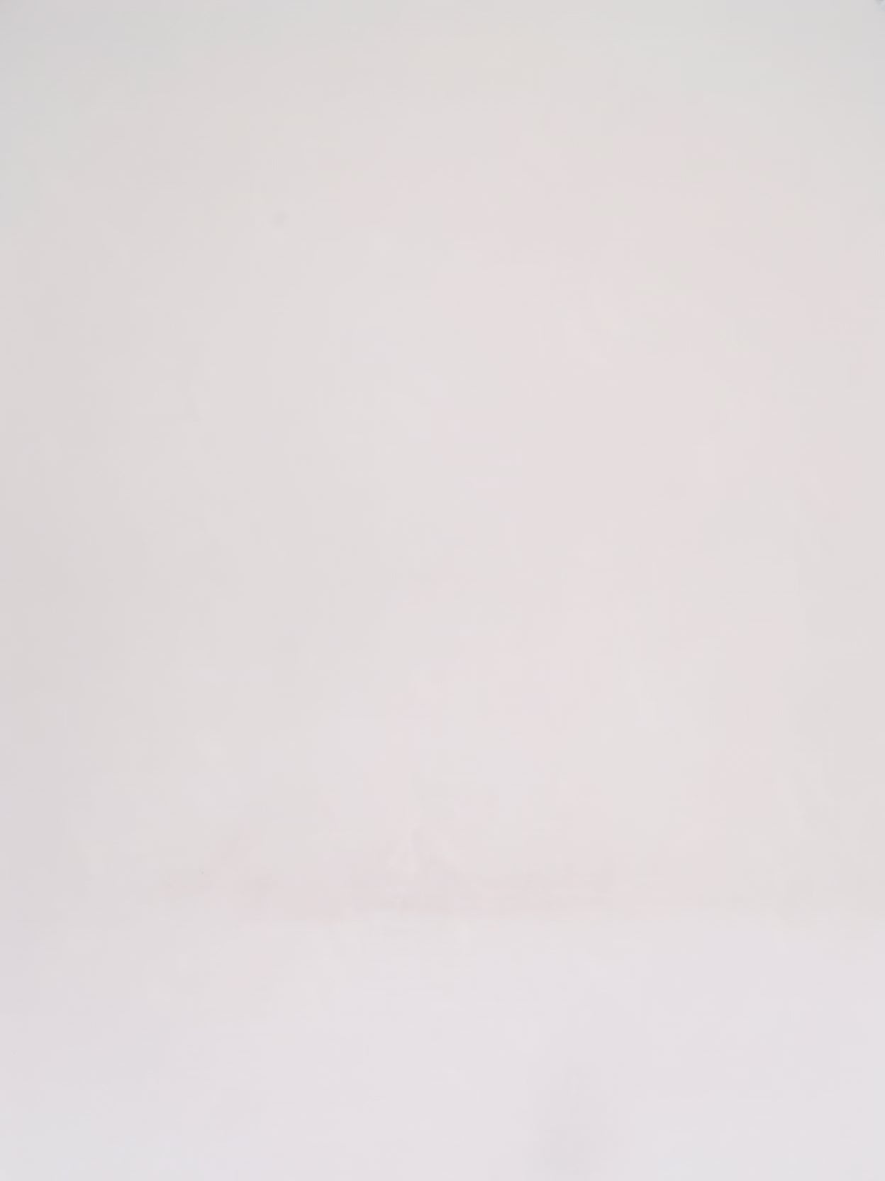 Carregar vídeo: Balenciaga - Town